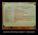 Фотография Ирина Шнайдер