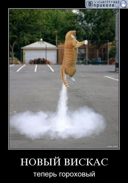 №20, Надюха Нагайник, Луганск №20, Надюха Нагайник, Луганск