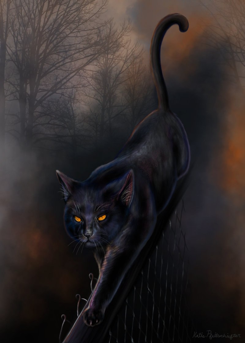 Лариса Марутина | Николаев