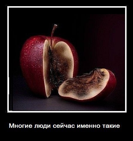 Женя Луганский | Краматорск