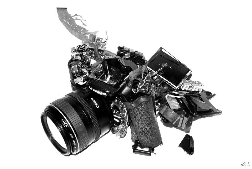 Никита Шеин | Sydney