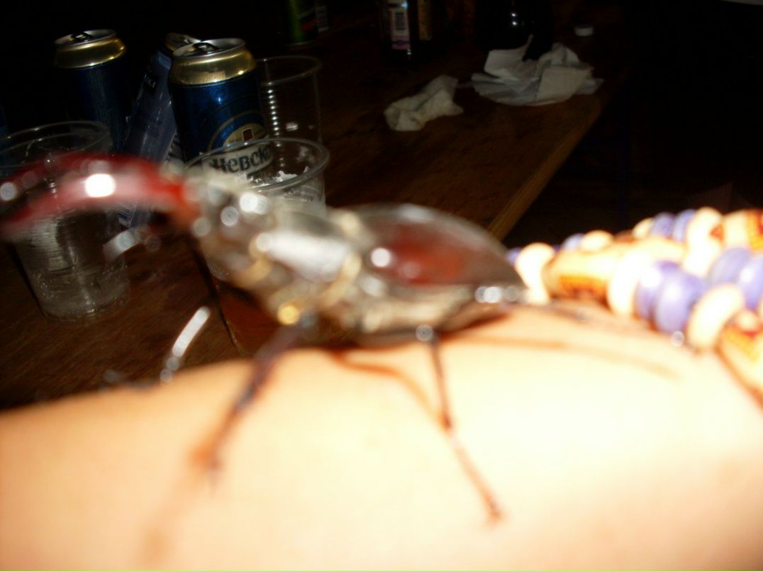 Олег Суслов | Санкт-Петербург