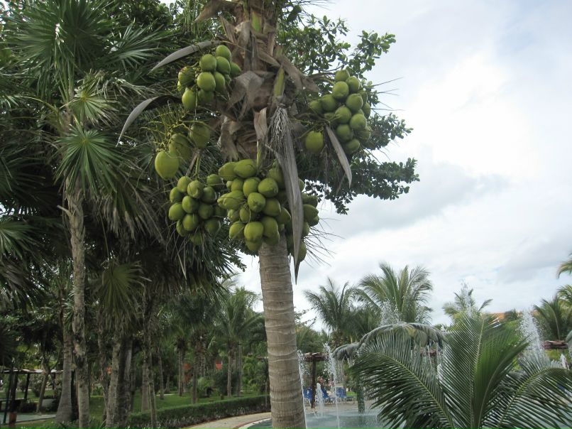 Юля Орлова | Минск