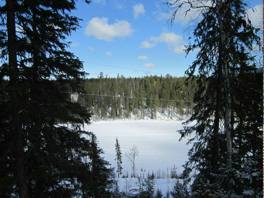 Елена Райкина | Санкт-Петербург