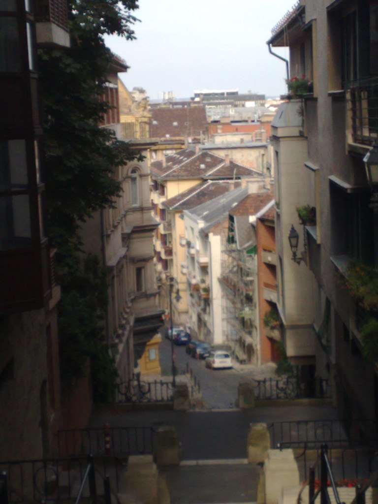 Олена Петровська-Боднар | Львов