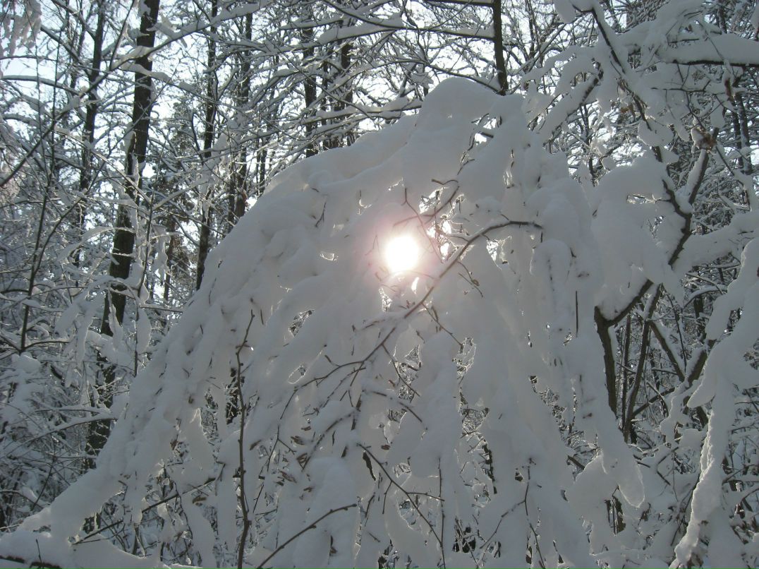 Александр Дехтярь Степанович | Киев