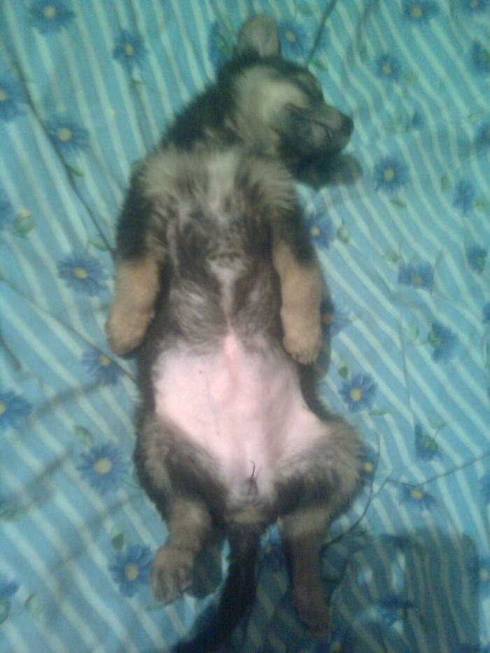 Людмилка Михайленко Звездочк@ | Боярка