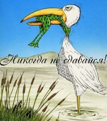 Владимир Поздняков | Санкт-Петербург