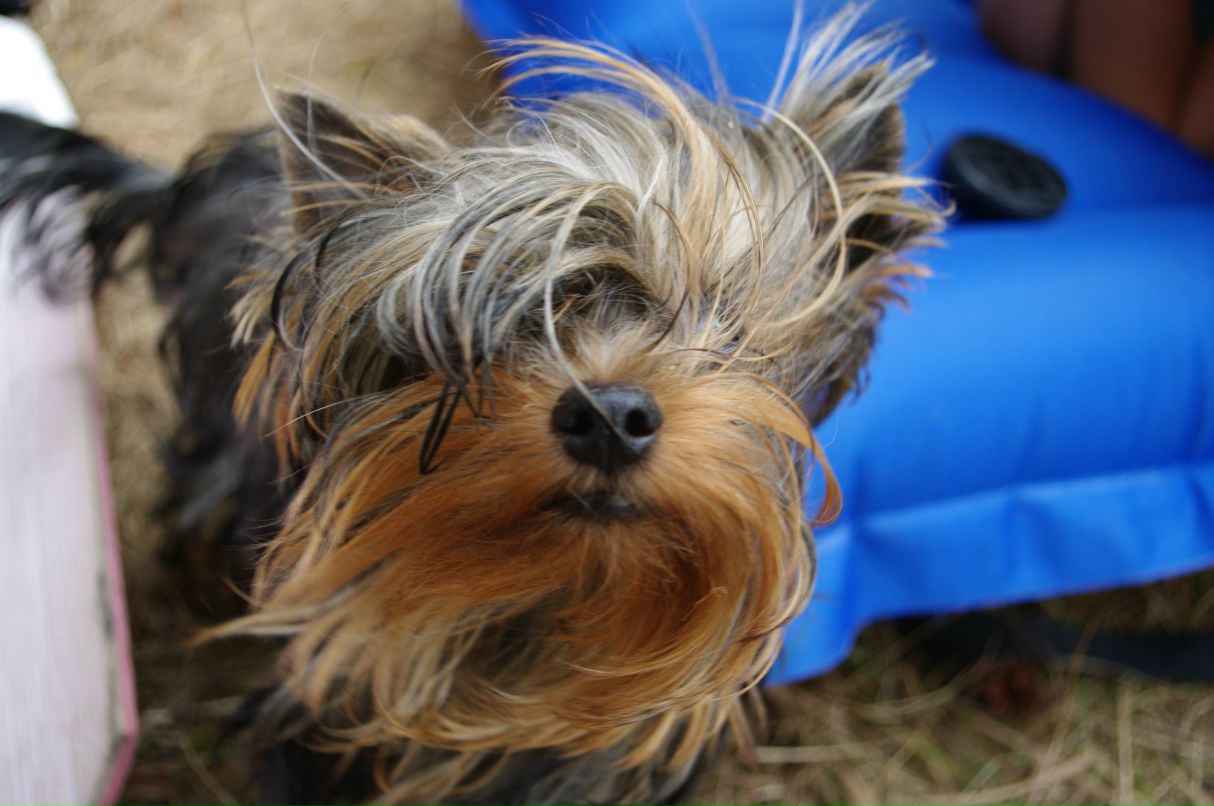 Иван Иванов -=Ш-MaN=- | Москва