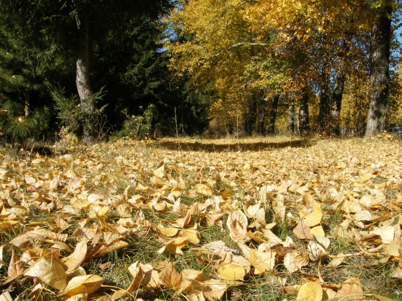 Дима Краснощёков | 