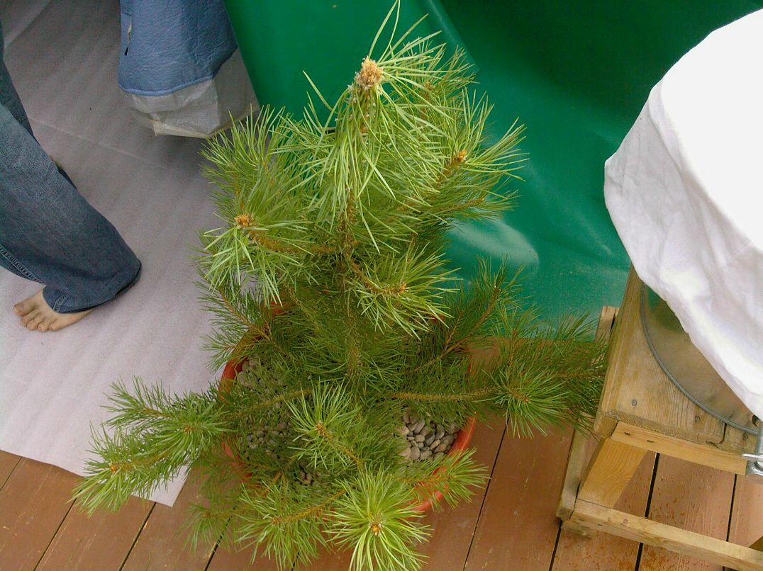 Евгений Владимиров | Минусинск