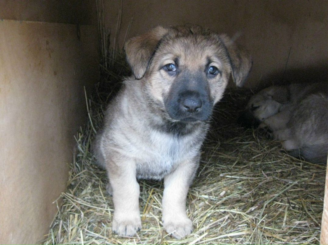 Татьяна Демиденко | Санкт-Петербург