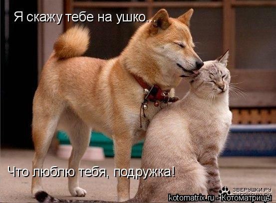 Sergey Sushch | Sacramento