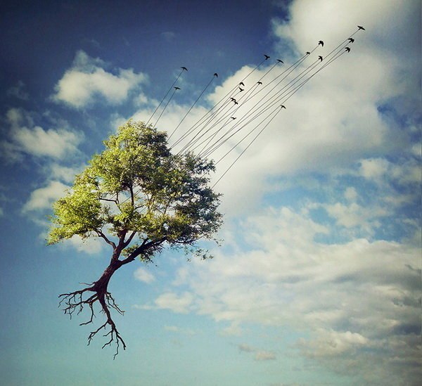 №70, Anna Korableva №70, Anna Korableva