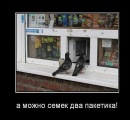 Фотография Лунёва Александра