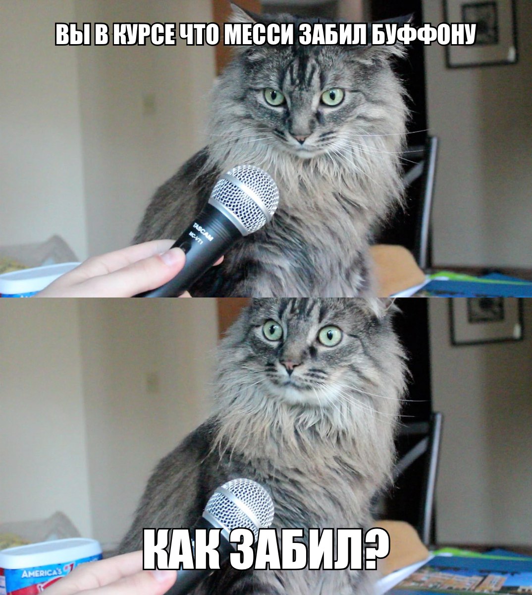 соси я сказал Полезная мысль соси я сказал как