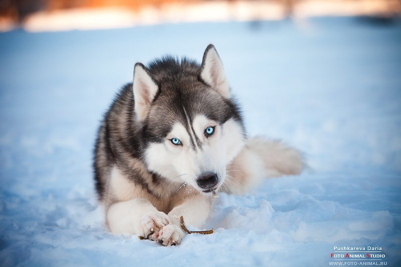 Валерия Кимм | Москва