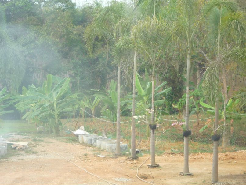 Юлия Глянцева | 