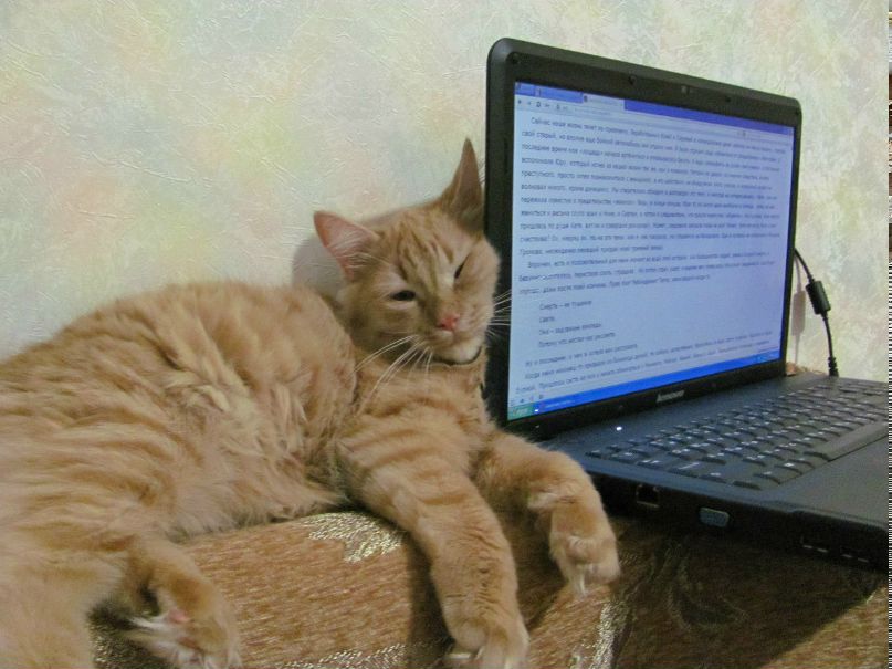 Саша Ищенко po-tri-ot | Николаев