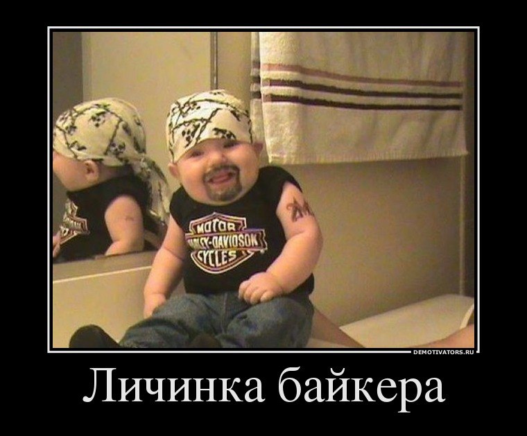 Алексей Курдаков | Новосибирск