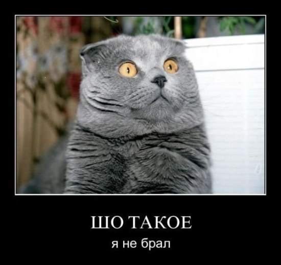 Елена Алексеева | Славянск