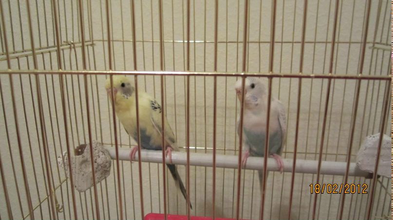 Елена Шишкалова | Ростов-на-Дону