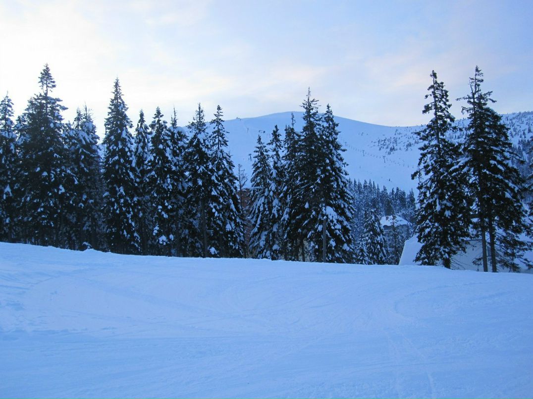 Андрей Молодий | Запорожье