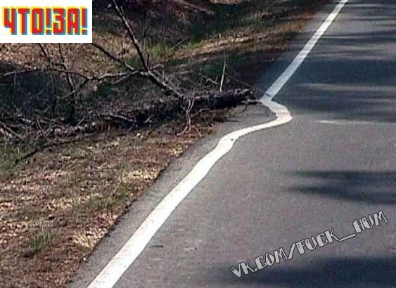 Михаил Малашкевич | Екатеринбург