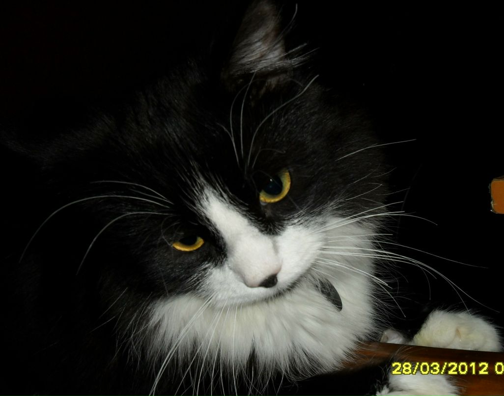 Александра Смирнова | Санкт-Петербург