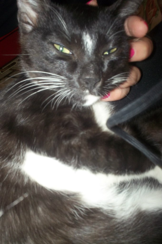 Настя Кузнецова | Москва