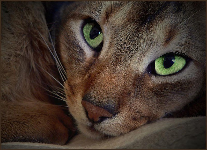 Анастасия Вологжина | Москва