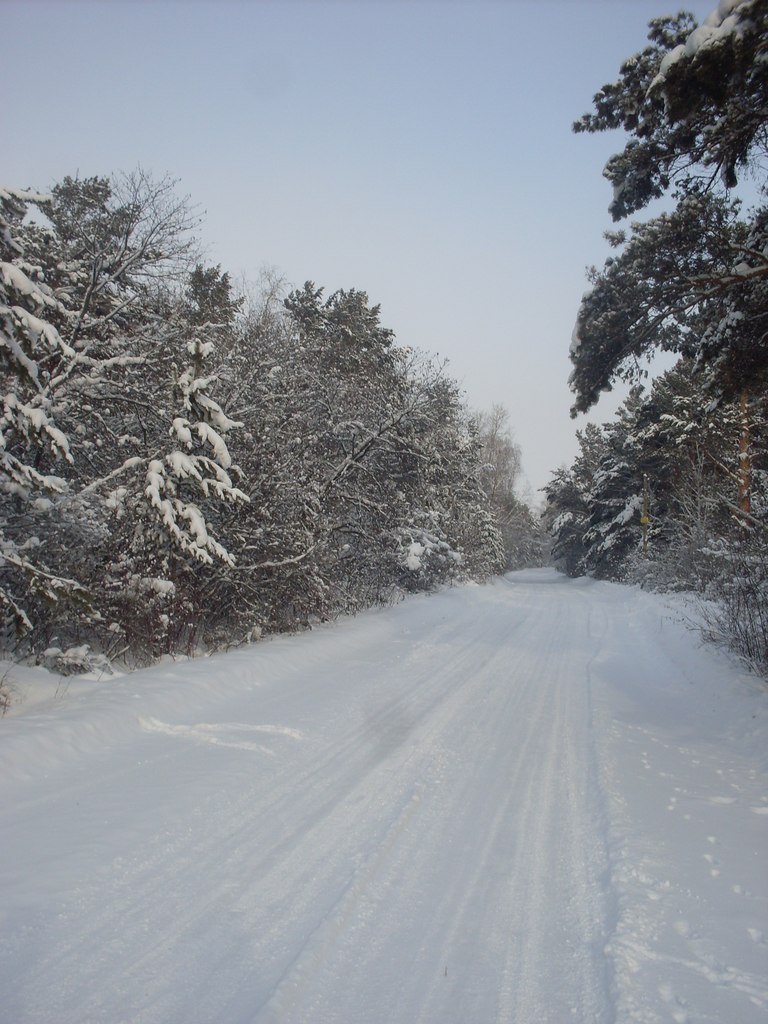 Олеся Горкушо | Красноярск
