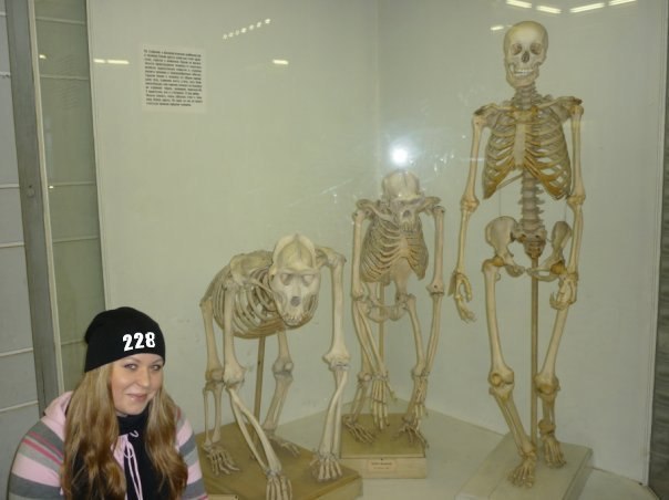 Perverse Massacre ┼ | 