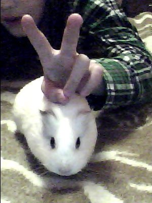 Иветта Коньковская | Москва