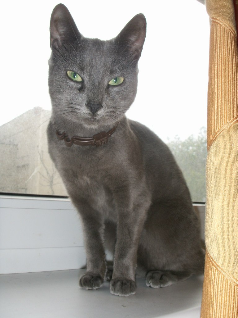 Ирина Кудря | Алупка