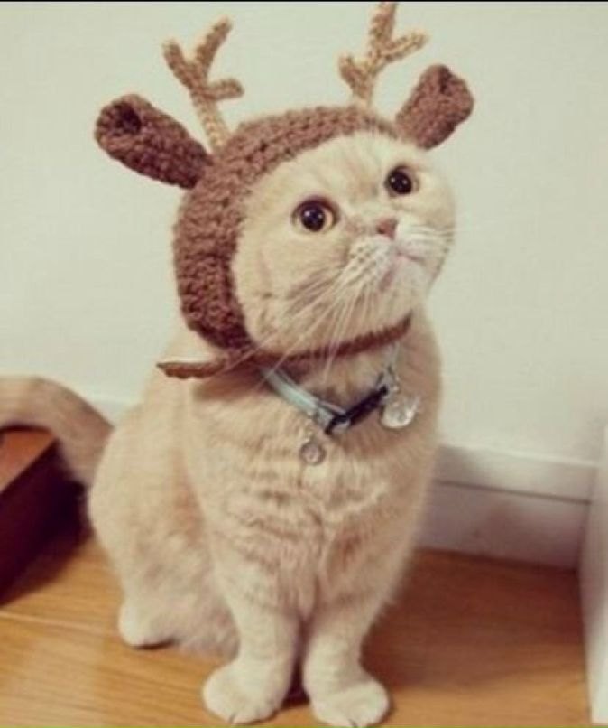 Meruert Taishanova miss MIRA | Астана / Нур-Султан