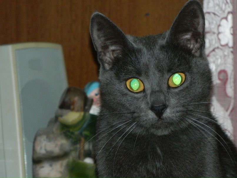 Светлана Безносикова | Москва