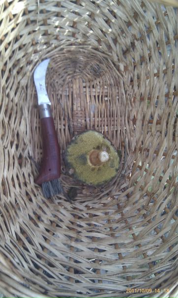 №61, Александр Сидоров, Санкт-Петербург №61, Александр Сидоров, Санкт-Петербург