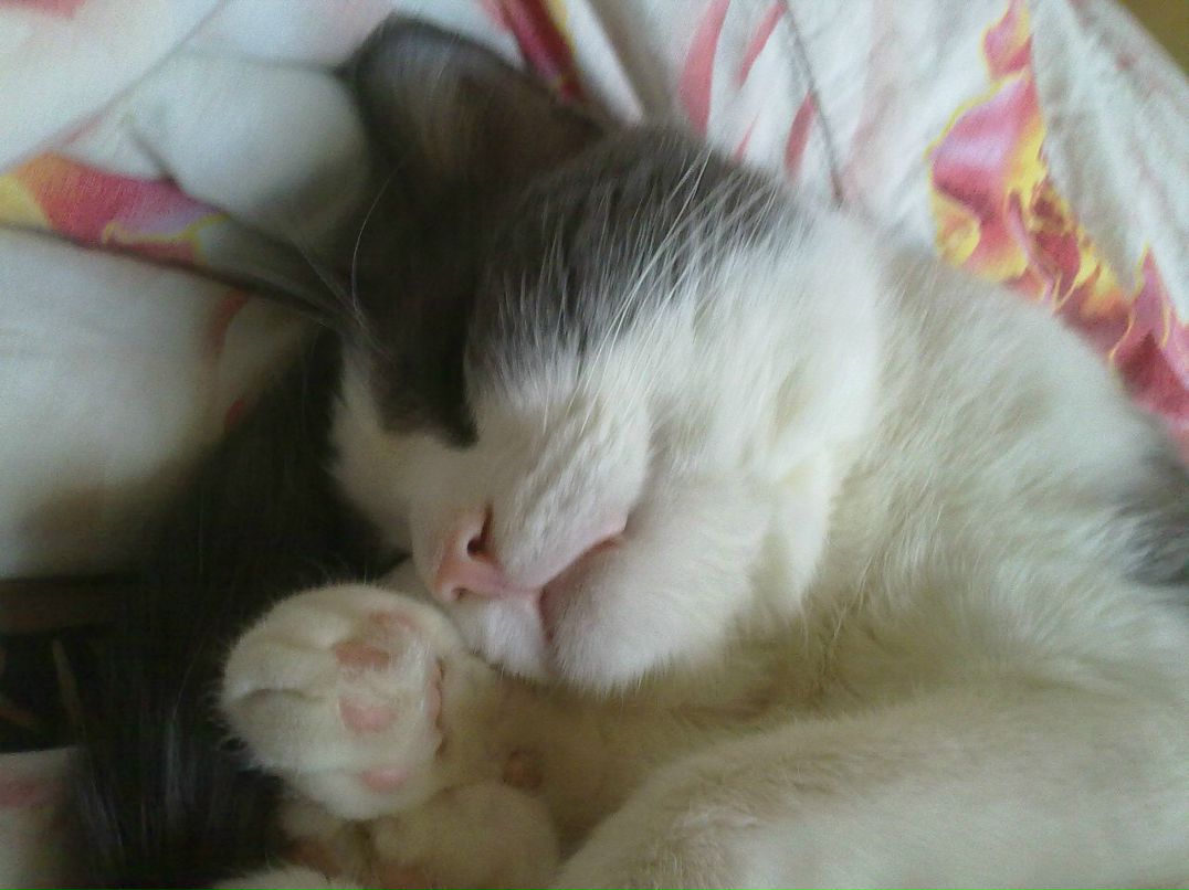 Максим Логинов | Андреевка