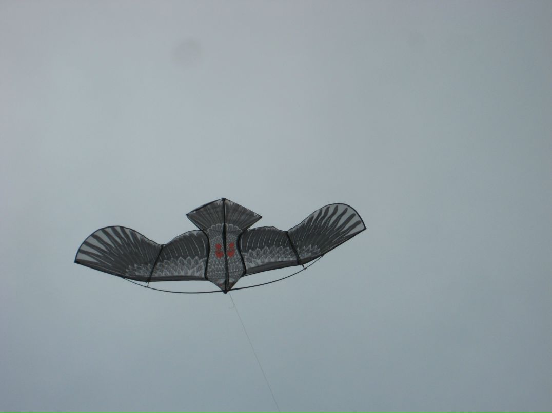 Irma Gorte [reeZo's Mom] | Кемерово