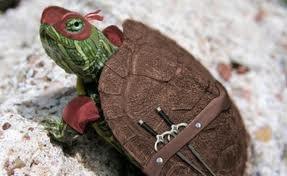 Александр Александровски | Обухов