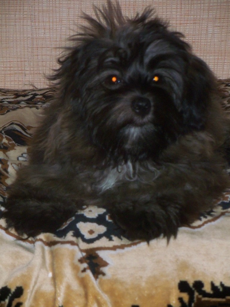 Оксана Ровенко | Бор