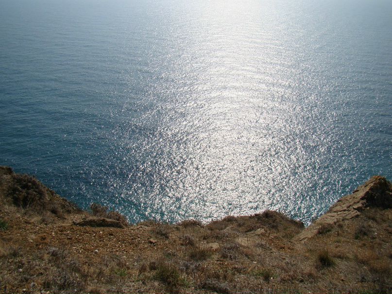 Юлія Буяновська | Жашков