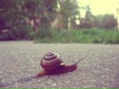 №39 Валерия Мацкевич 30.04: профиль, фото, статус - ВКонтакте