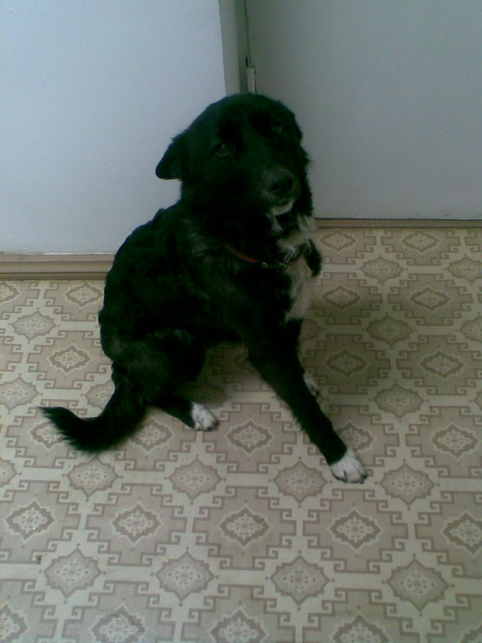 Алексей Саркисян | Черкесск