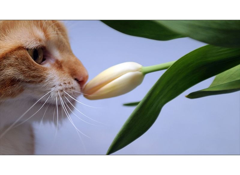 Надежда Лучкина | Люберцы