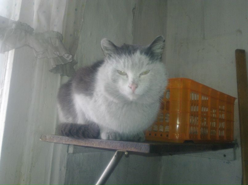 Игорь Ермолаев | Санкт-Петербург