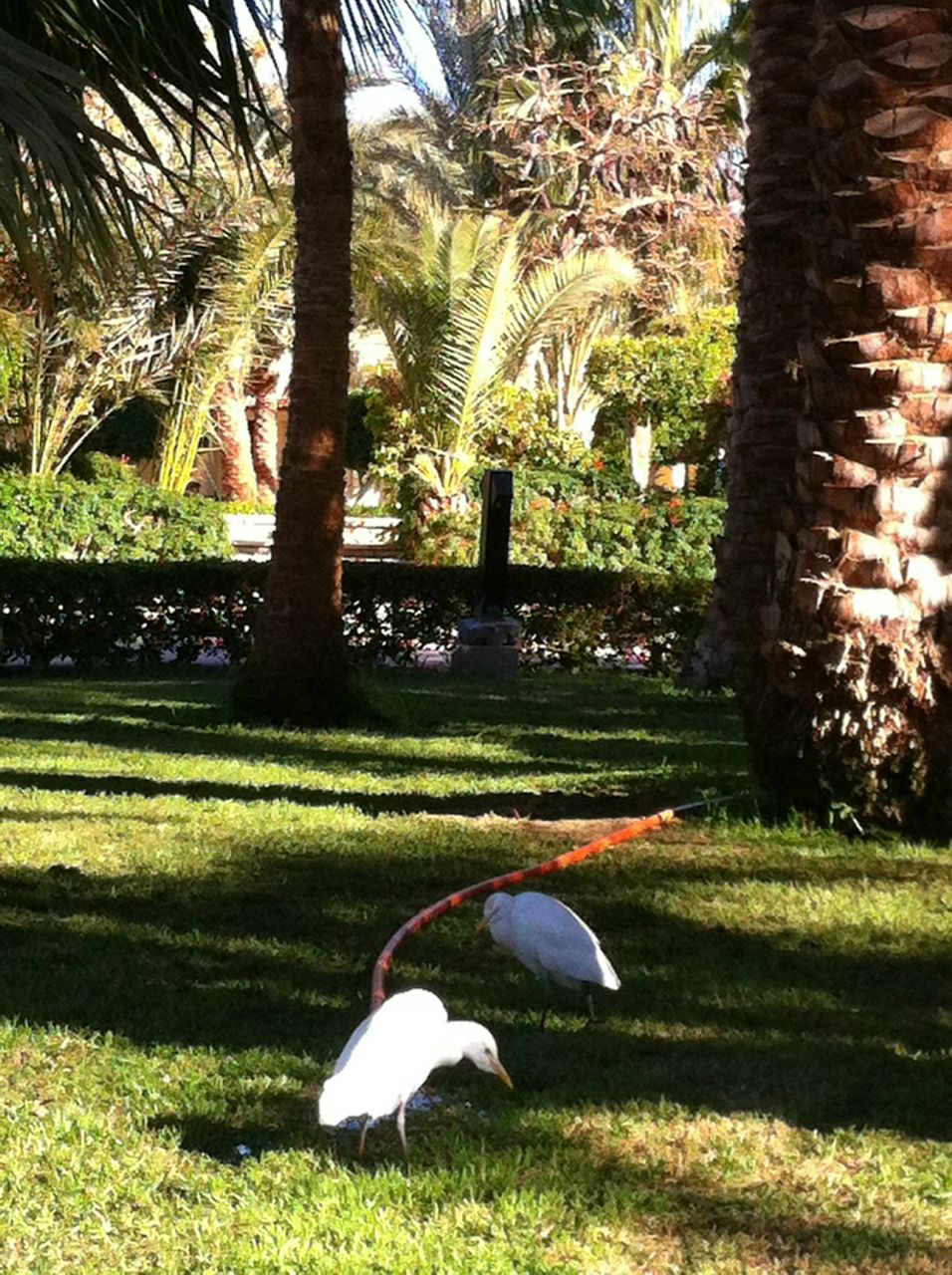 Вадим-S Тимчук MeyCry | Киев