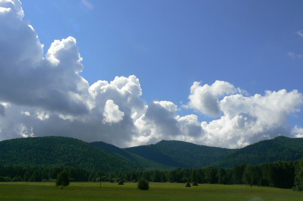 Вячеслав Рощин | 