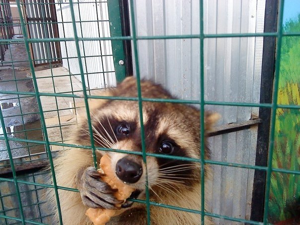 Максим Пилипчук ▇ ▆ ▅ ▂⏠⏝⏠⎠▃ ▅ ▆ ▇ | Симферополь